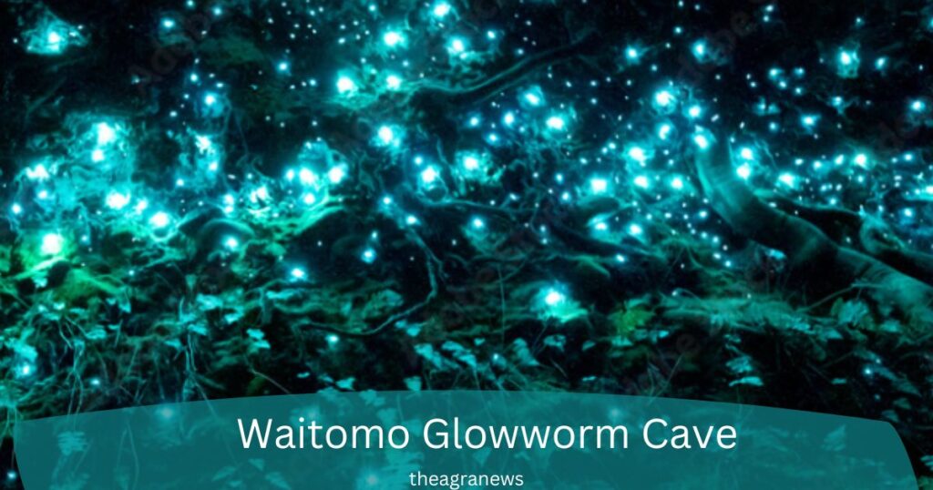 waitomo-glow-worm-cave